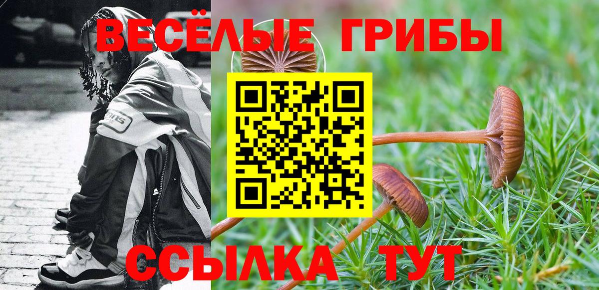 Псилоцибиновые грибы мухоморы  Галлюциногенные грибы Cubensis  Вход с VPN  где купить наркоту  Коломна 